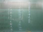 縮圖：
