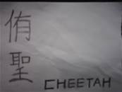縮圖：