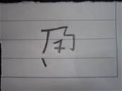 縮圖：
