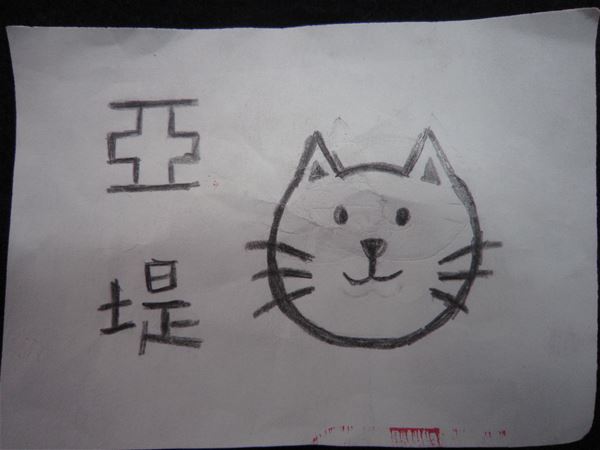 放大圖：