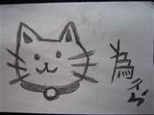 縮圖：