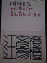 縮圖：