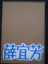 縮圖：