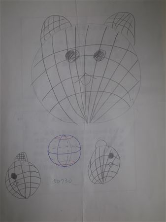 放大圖：