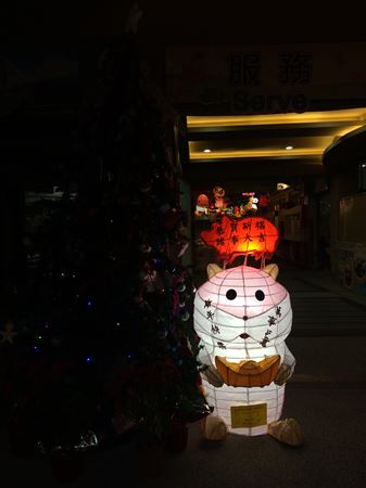 放大圖：