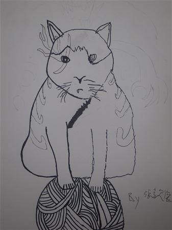 放大圖：