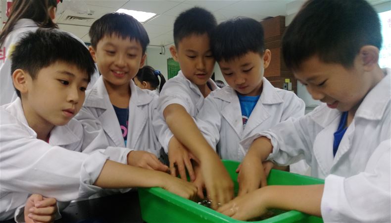 放大圖：