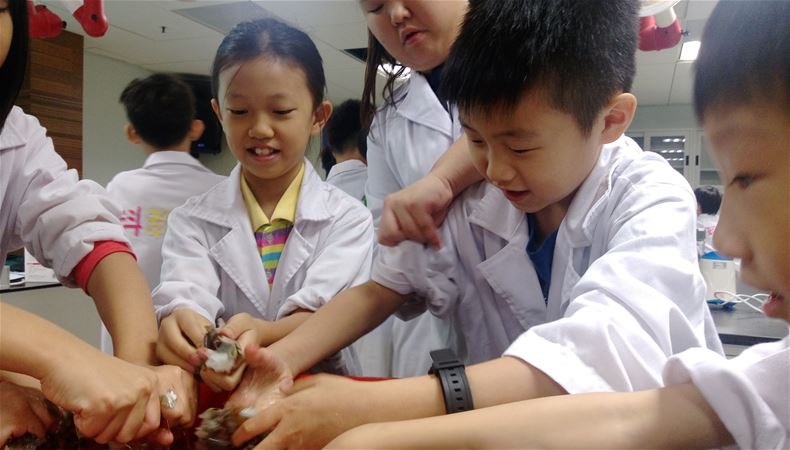 放大圖：