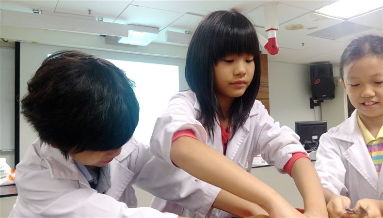 放大圖：