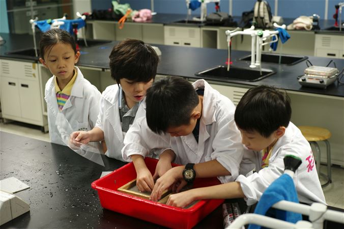 放大圖：