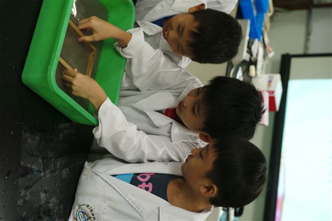 放大圖：