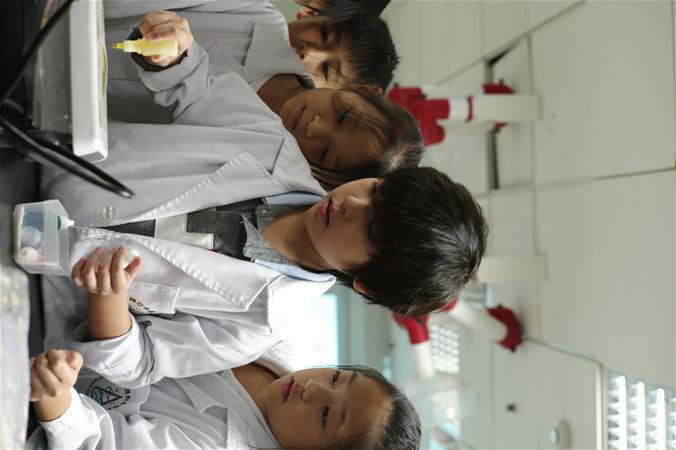 放大圖：