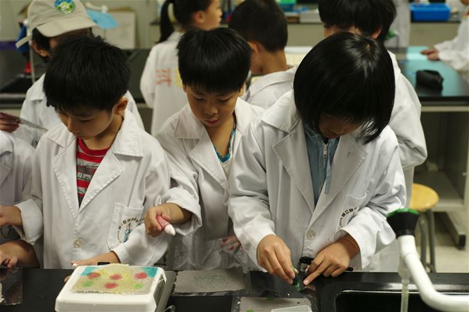 放大圖：