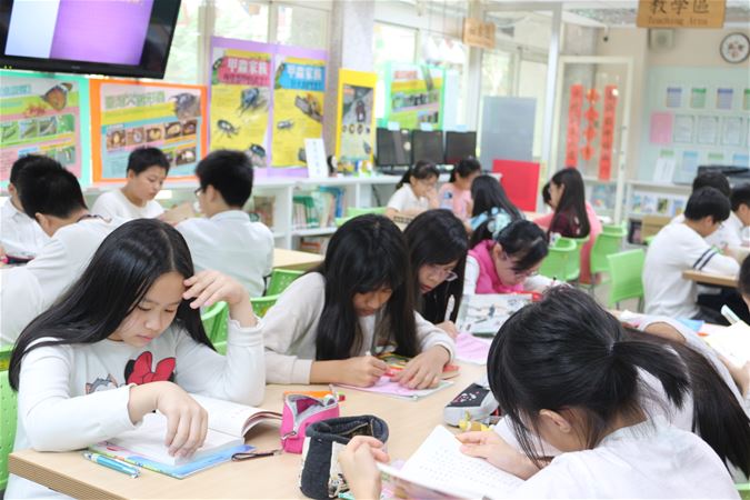 放大圖：