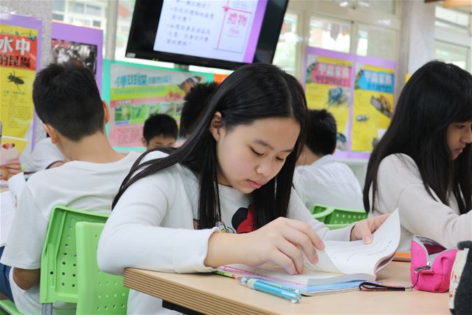 放大圖：