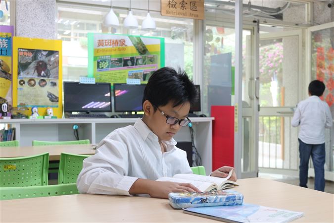 放大圖：