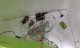 生活創客Arduino作品