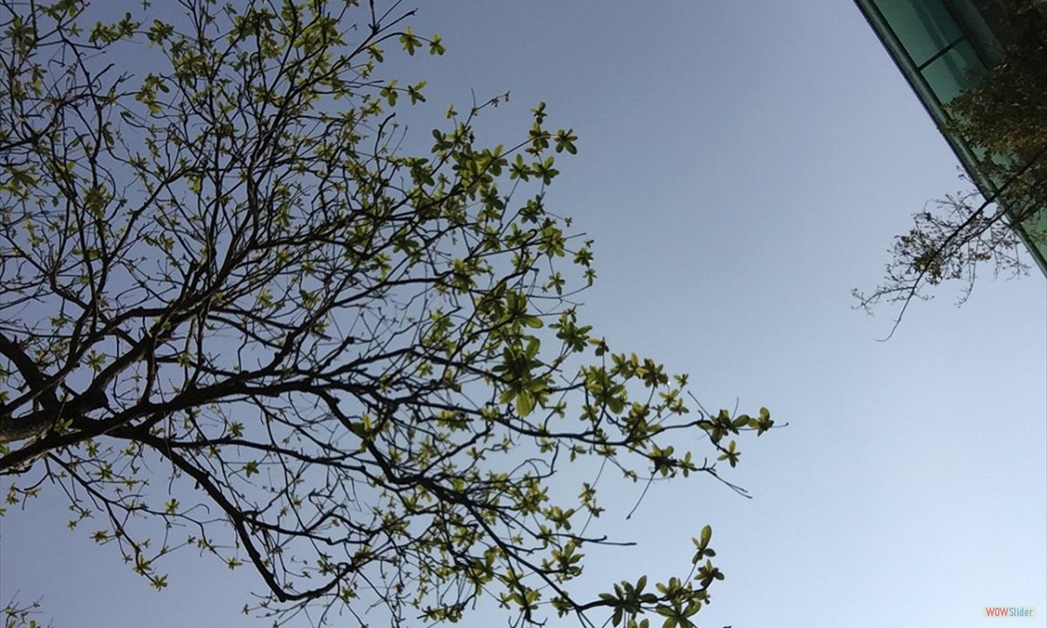 興趣一照片2