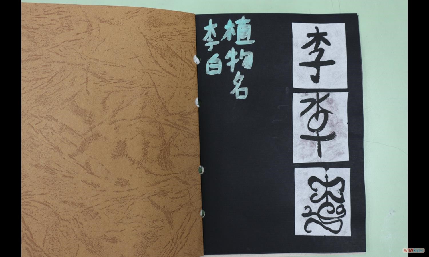 李奕廷 (1)
