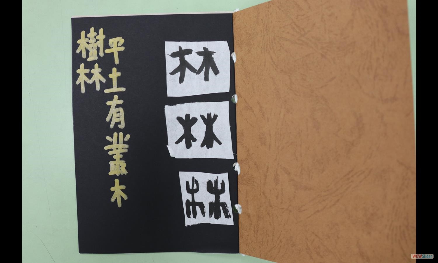 林宸羽 (1)