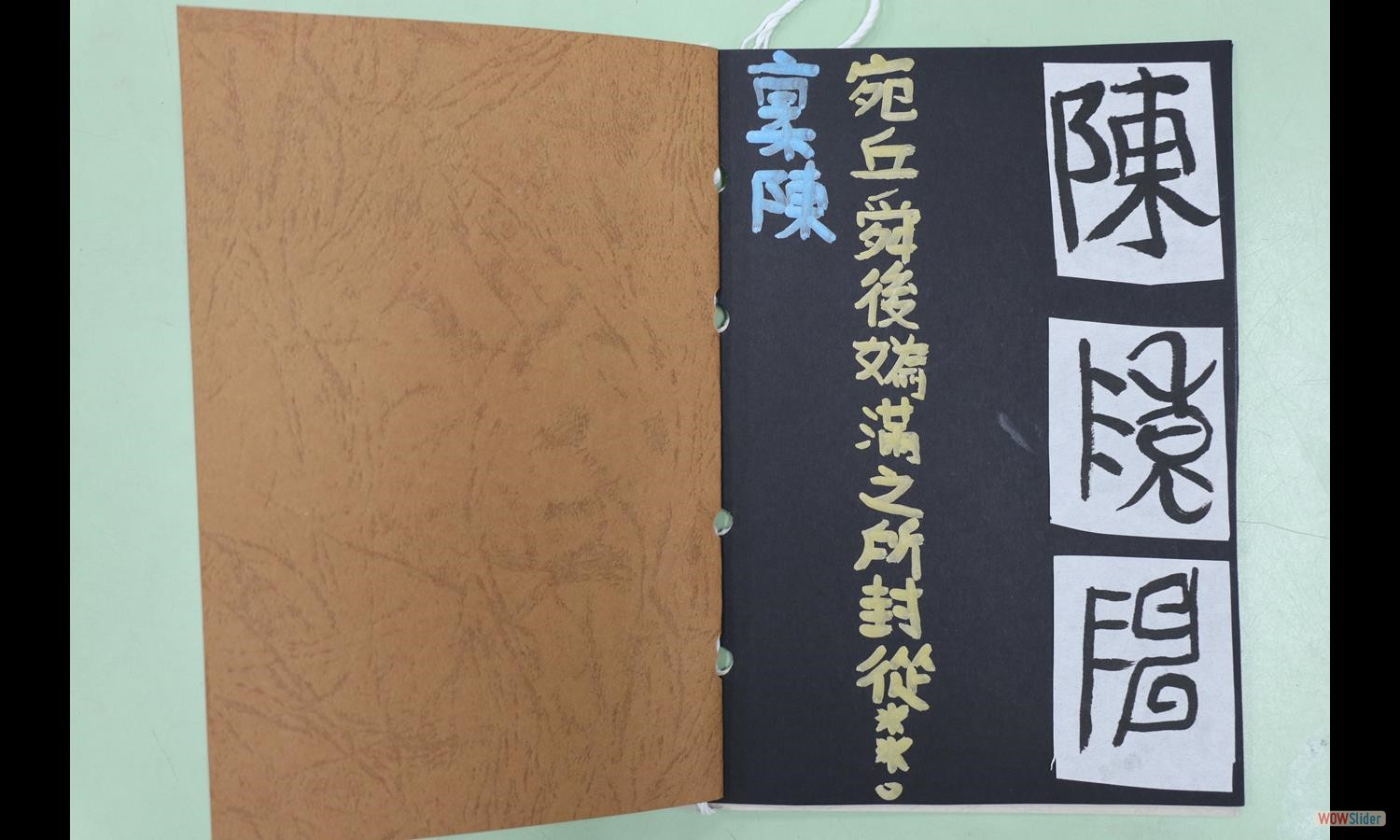 陳柔穎 (1)