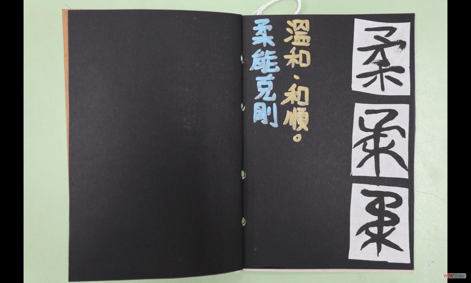 陳柔穎 (2)