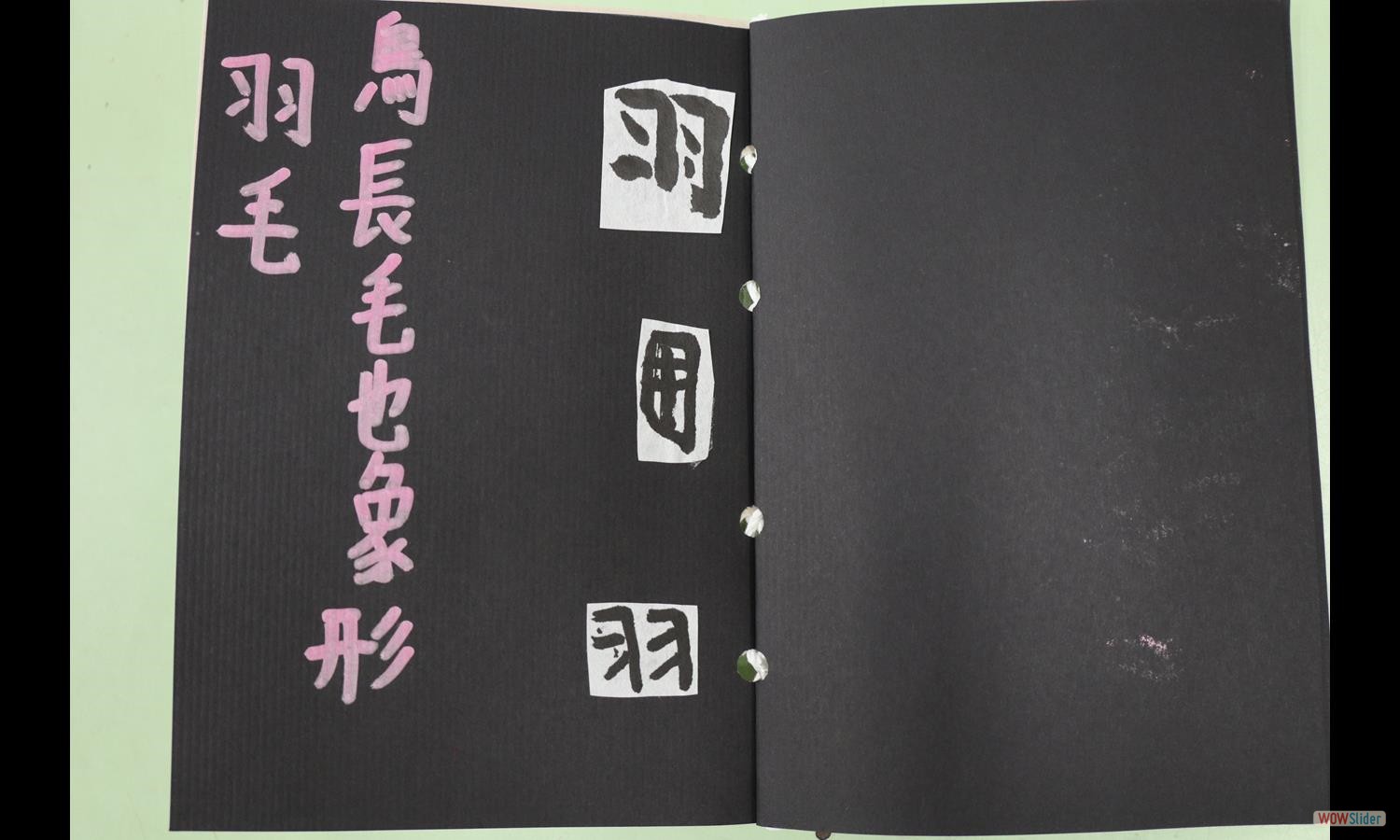 林宸羽 (3)