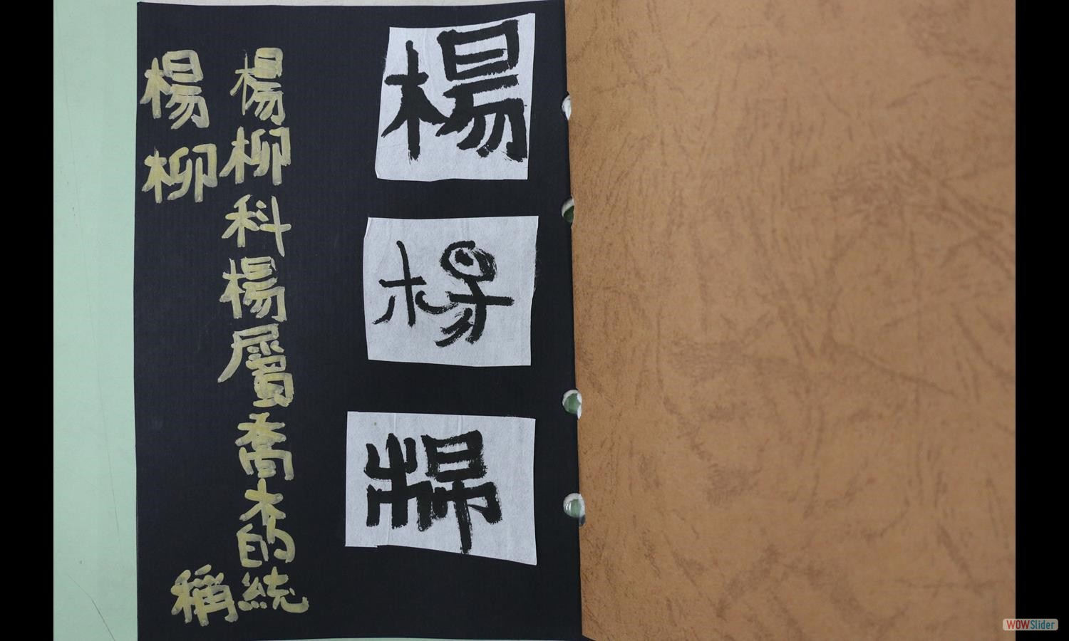 楊蘭宇 (1)