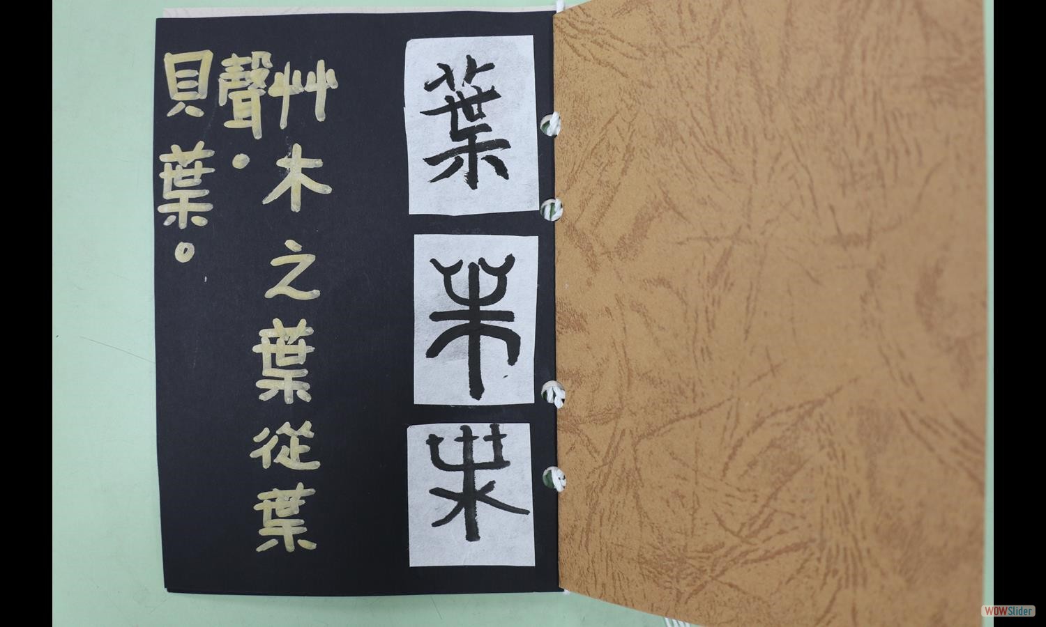葉佩岑 (1)