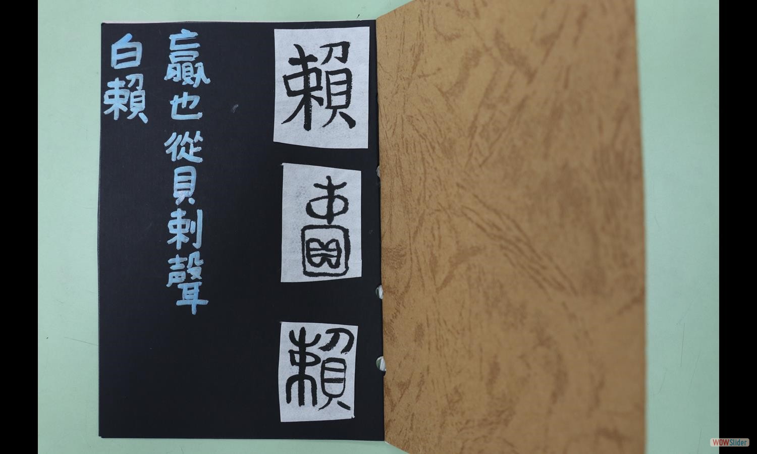 賴心彗 (1)