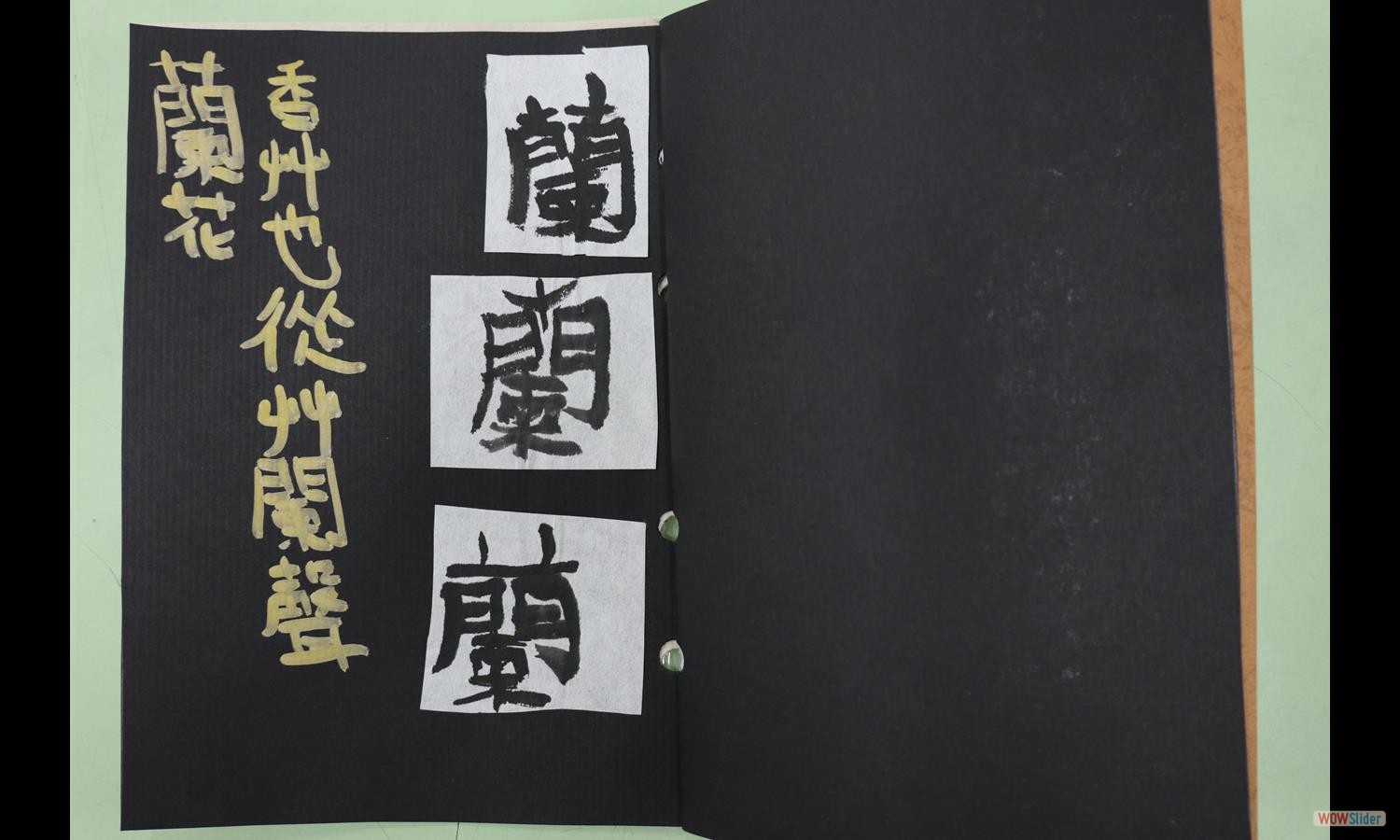 楊蘭宇 (2)