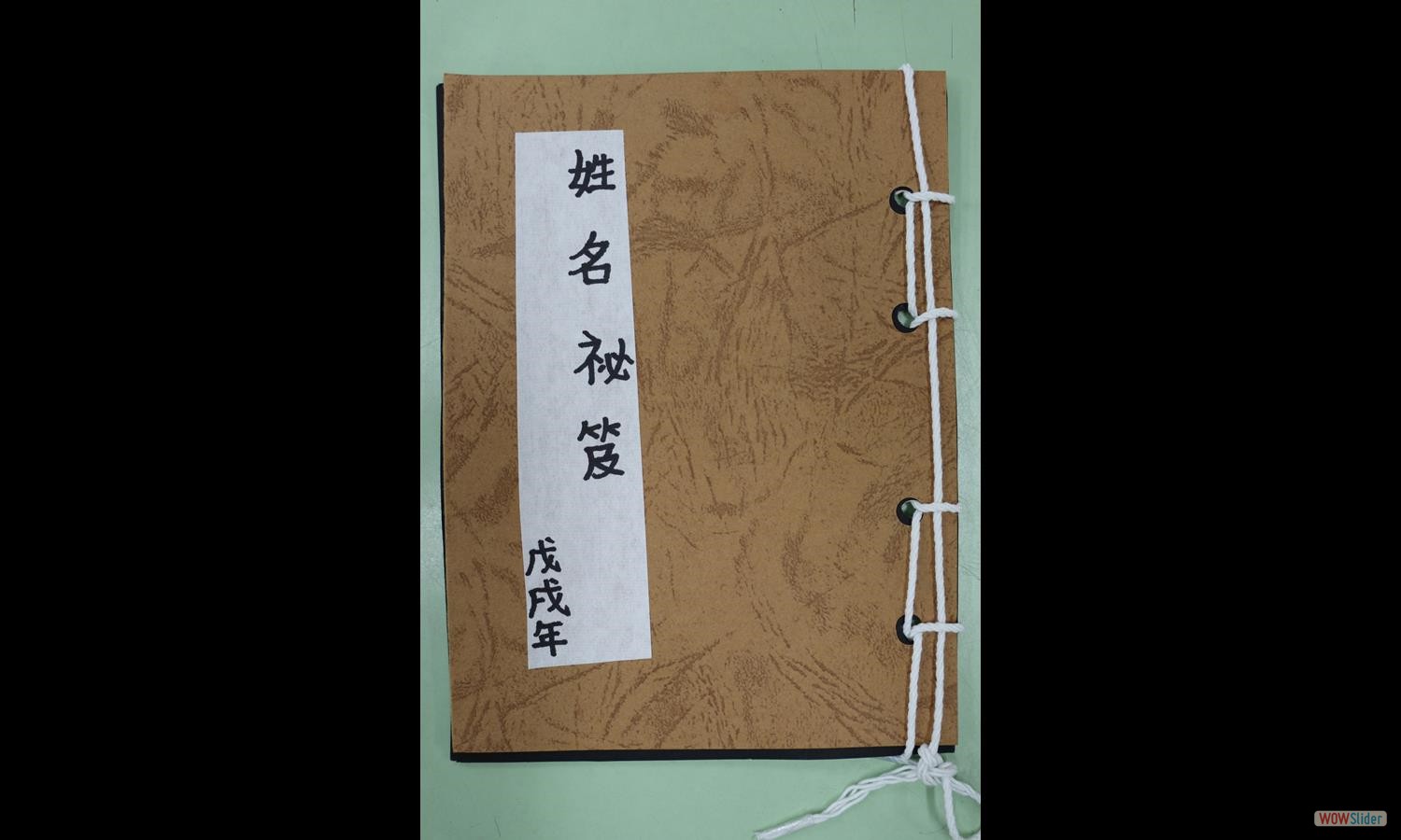 賴心彗 (4)