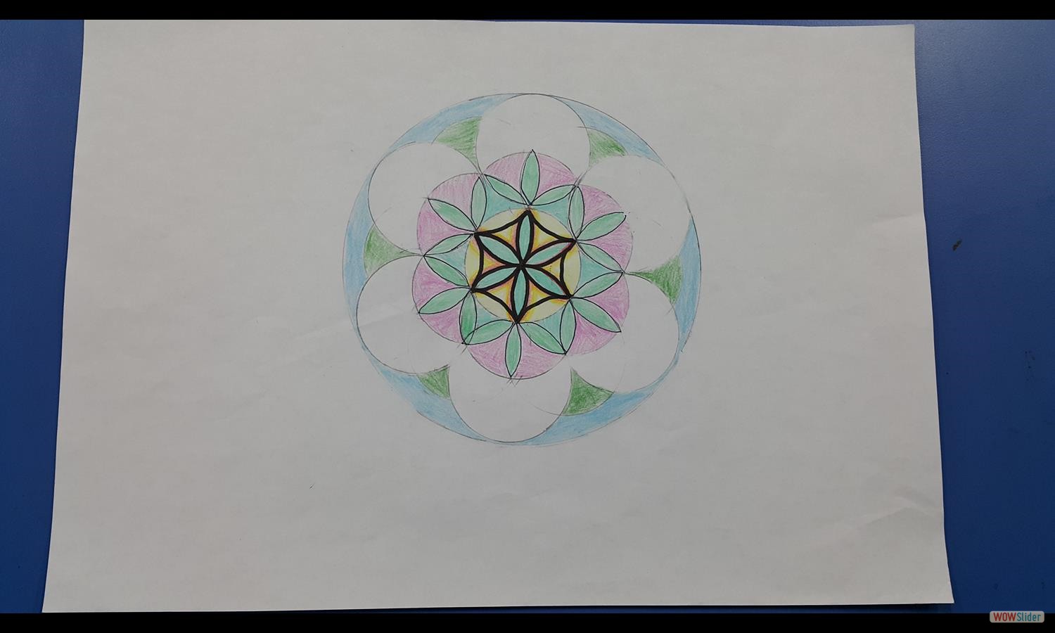 花瓣圖 (3)