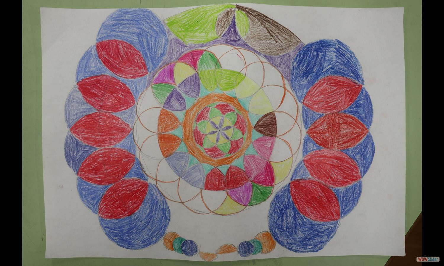 花瓣圖 (5)