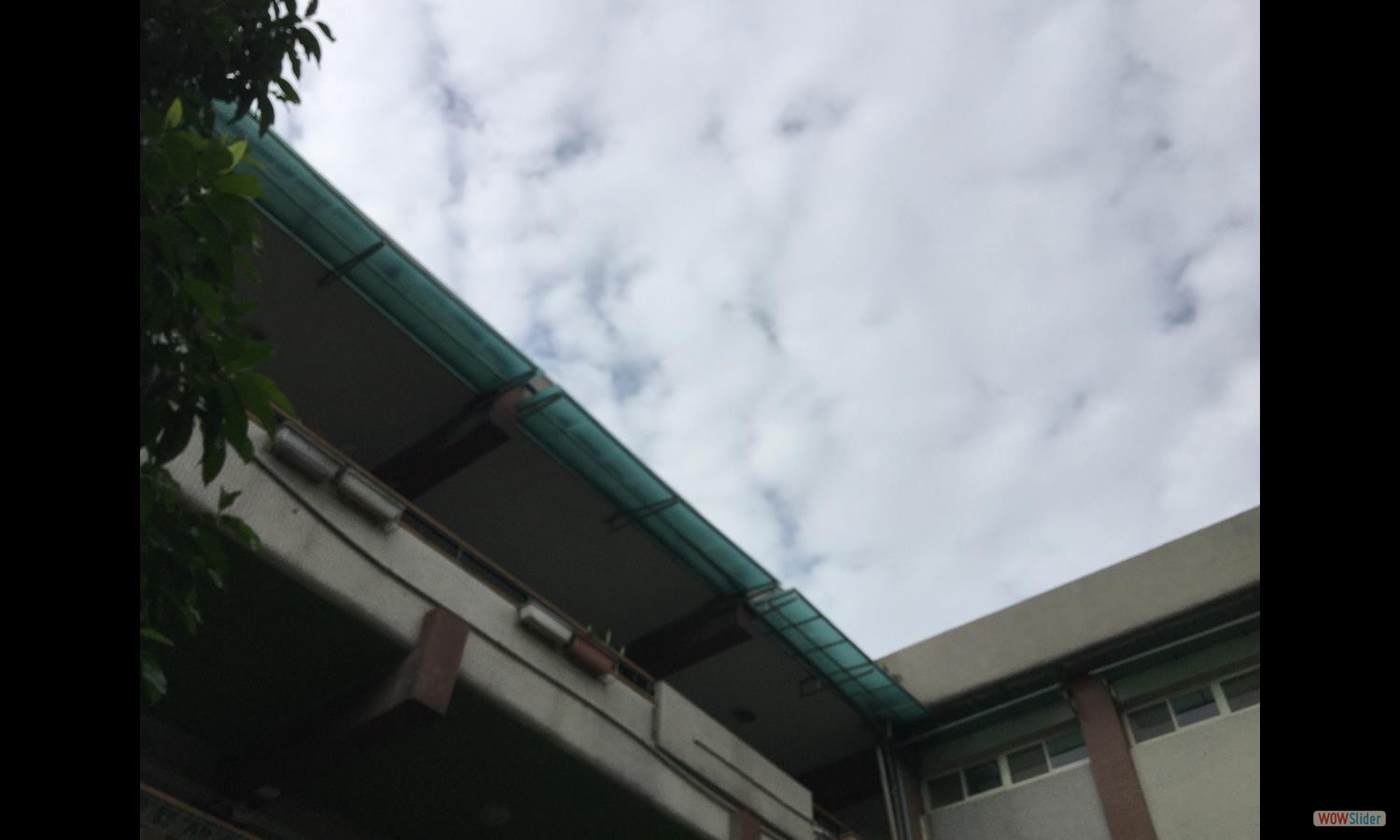 郭秩嘉 (4)