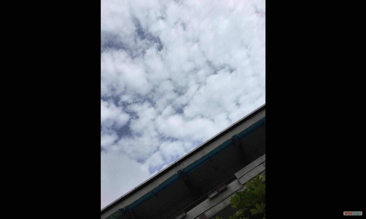 蕭文瑀 (6)