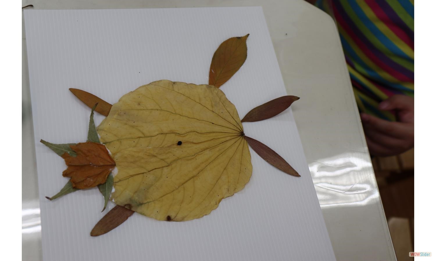leaf (9)
