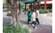 pickingLeaf (1)