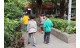 pickingLeaf (2)