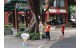 pickingLeaf (3)