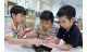 hand-made glutinous rice balls (20)