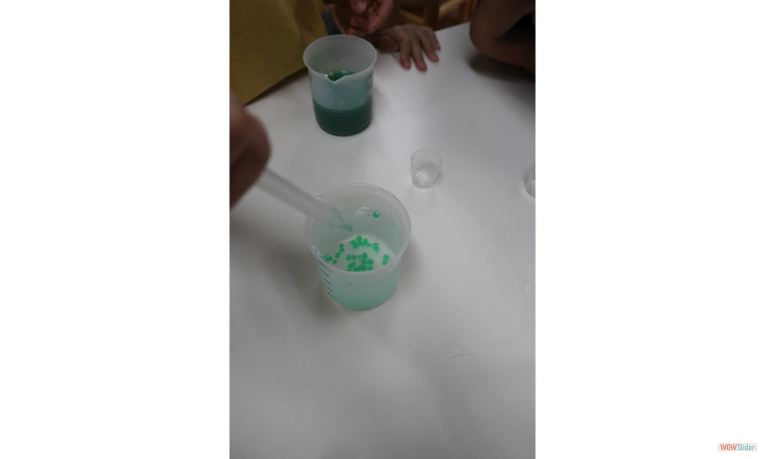 mint powder round (15)