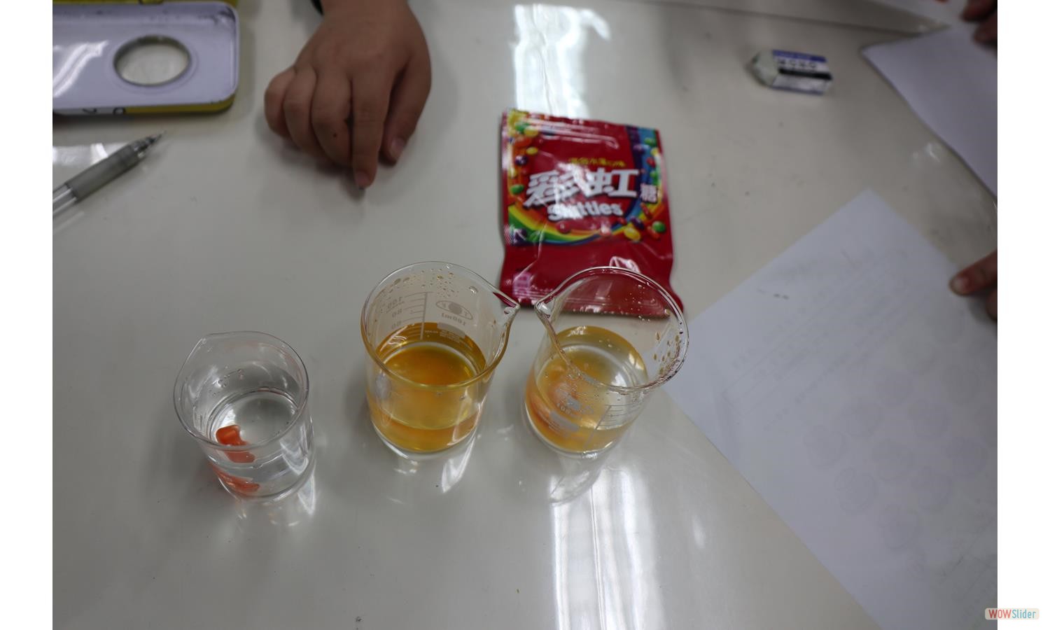 pigment Research (24)
