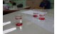 pigment Research (14)