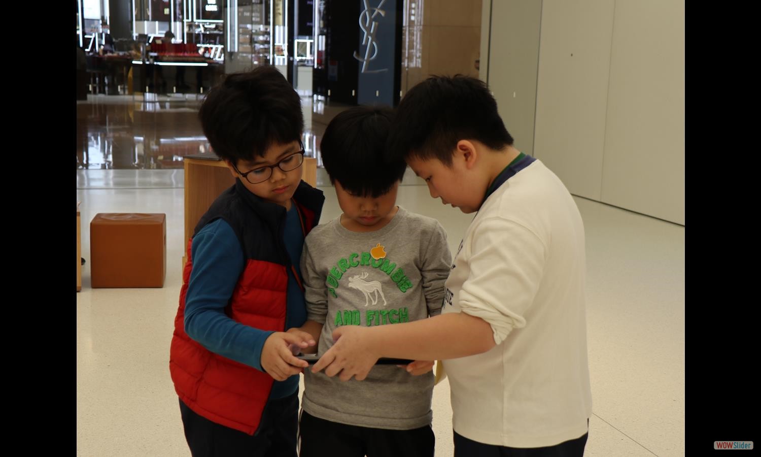 AppleClass (11)