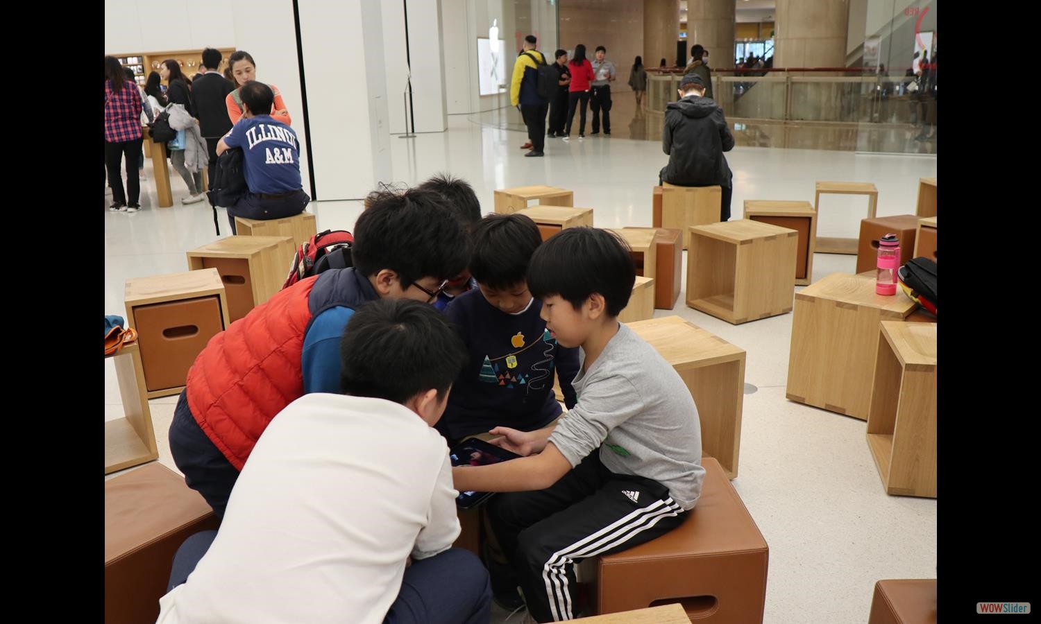 AppleClass (7)