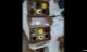 ldhbirthday_12