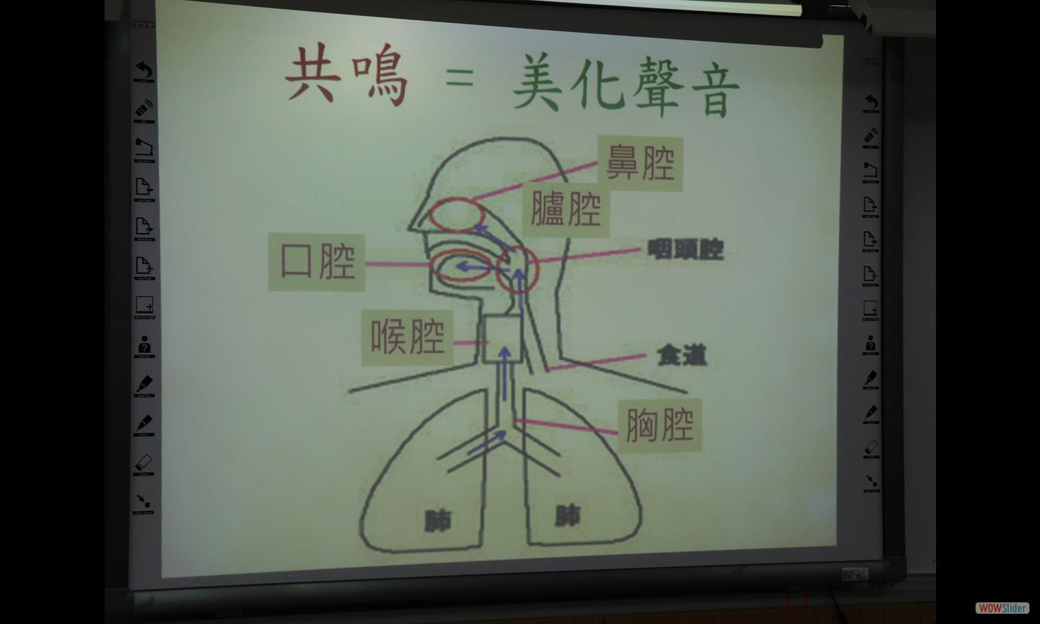 TrWangSpecialLecture (7)
