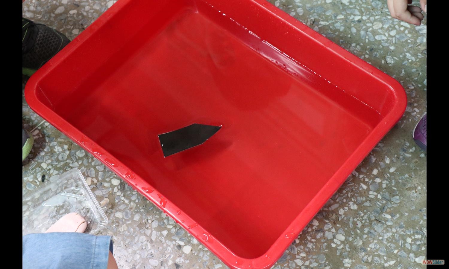 paperBoat (15)