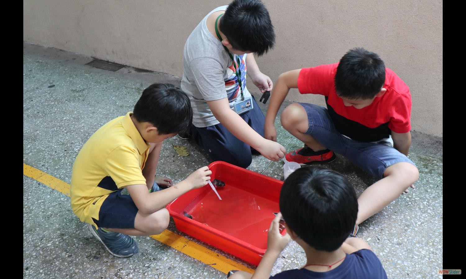 paperBoat (3)